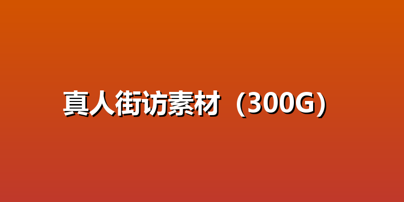 真人街访素材（300G）