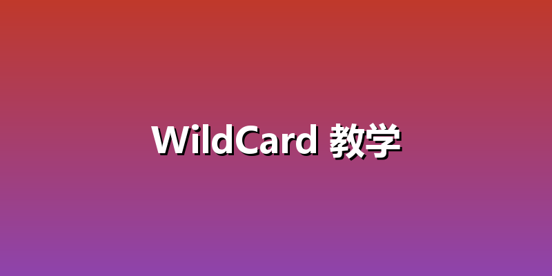 WildCard 教学